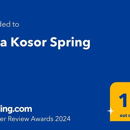 Villa Kosor Spring ブラガイ エクステリア 写真